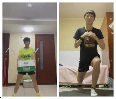 刘诗雯爆料最新视频,赛场幕后故事大公开